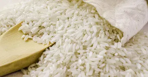 rice-banner-copy