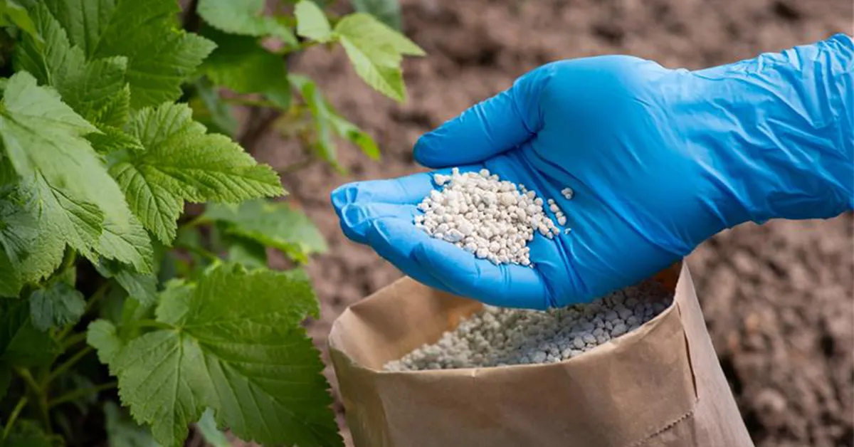 news-fertilizer-testing-2